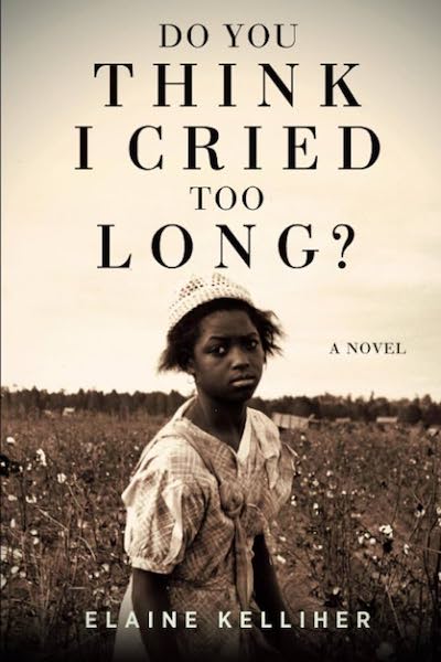 Book cover: Do You Think I Cried Too Long? by Elaine Kelliher with a girl in period dress standing in a field near farmhouses.