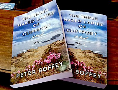 Book covers with wildflowers on rocky ocean cliff.