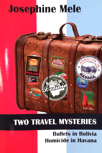 Book cover with antique travel suitcase covered in souvenir stickers.